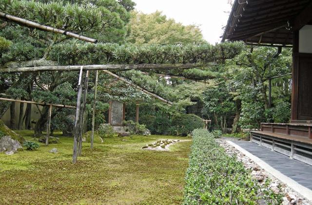 091101_daitokusikibu3 091101_daitokusikibu3