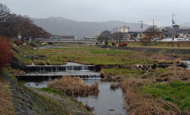091226kamogawa1 091226kamogawa1