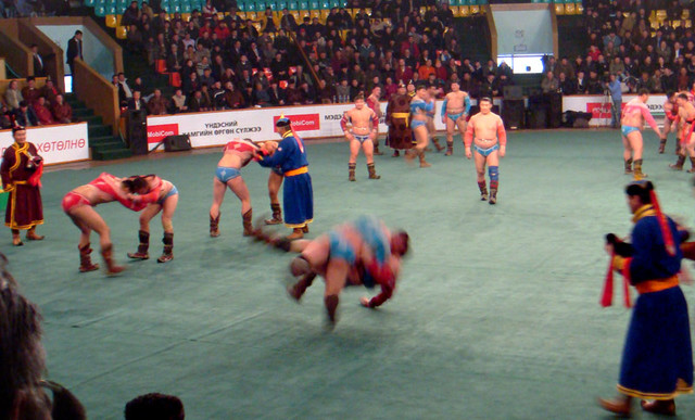 100113sumo8_2 100113sumo8_2