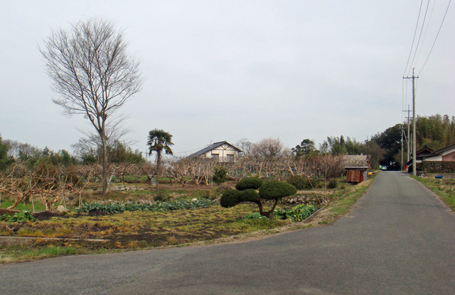 100311kugo 100311kugo