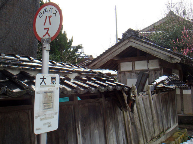 100311oohara 100311oohara