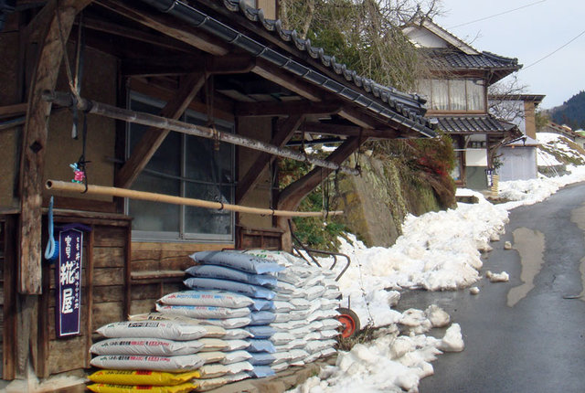 100312koujiya 100312koujiya