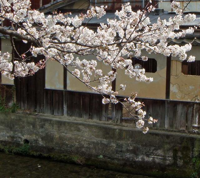 100327sirakawa3 100327sirakawa3