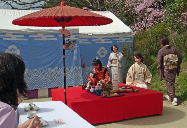 100410kamotea 100410kamotea
