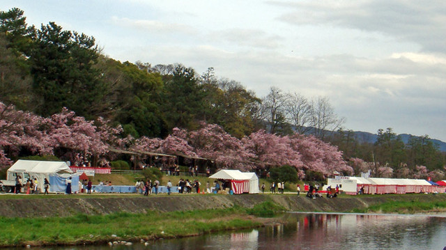 100410kamozenkei 100410kamozenkei