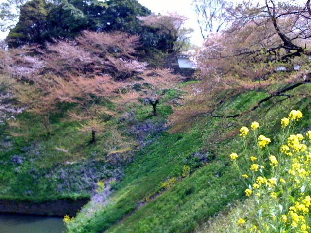 100414ohori1 100414ohori1