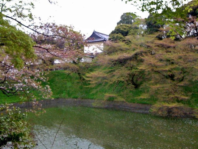 100414ohori2 100414ohori2