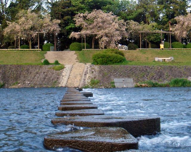 100424kamogawa1 100424kamogawa1