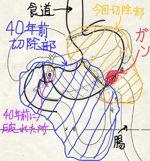 100730pict 100730pict