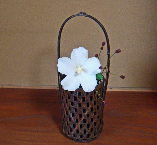 100822ikebana 100822ikebana