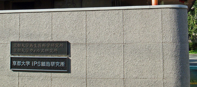 101004ips 101004ips