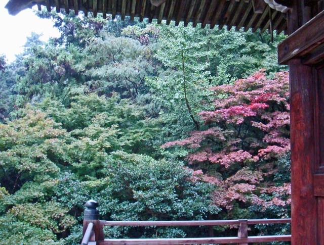 101008_kouyou_2 101008_kouyou_2