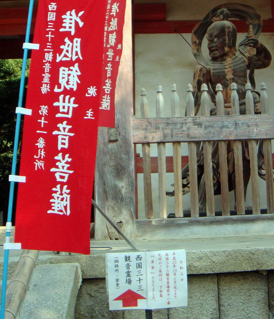 101016daigo1 101016daigo1