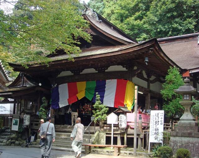 101017_iwama1 101017_iwama1