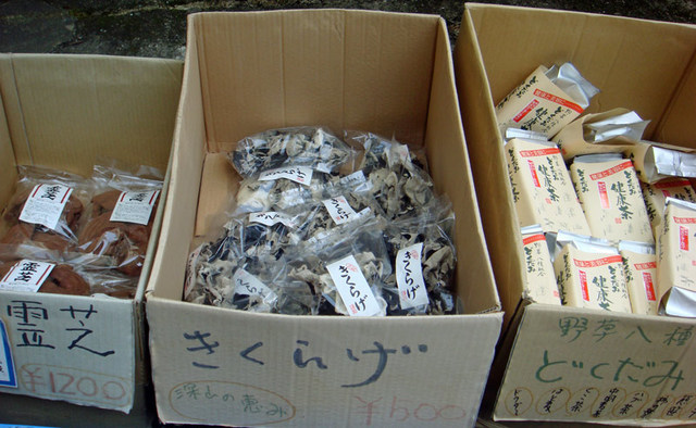 101018_kikurage 101018_kikurage