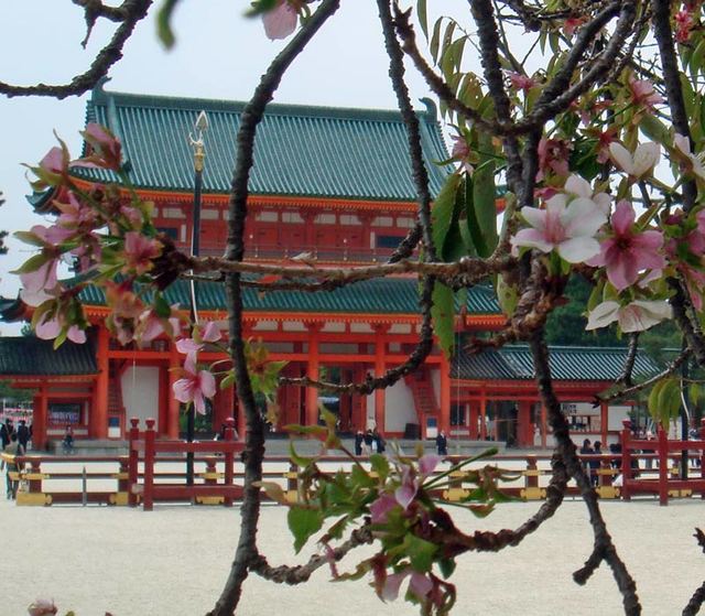 101022_sakura 101022_sakura