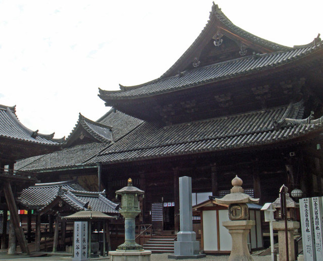 101026_hasedera2 101026_hasedera2