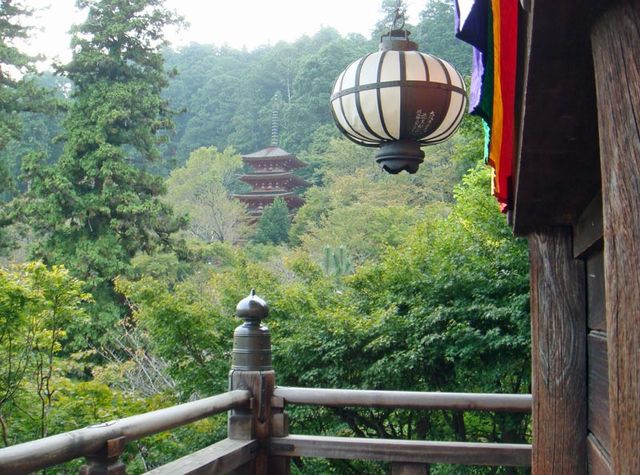 101026_hasedera4 101026_hasedera4