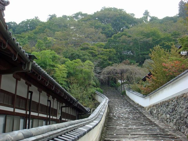 101026_hasedera6 101026_hasedera6