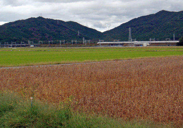 101101sinkansen 101101sinkansen