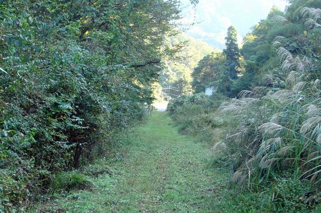 101104_hosoudou 101104_hosoudou