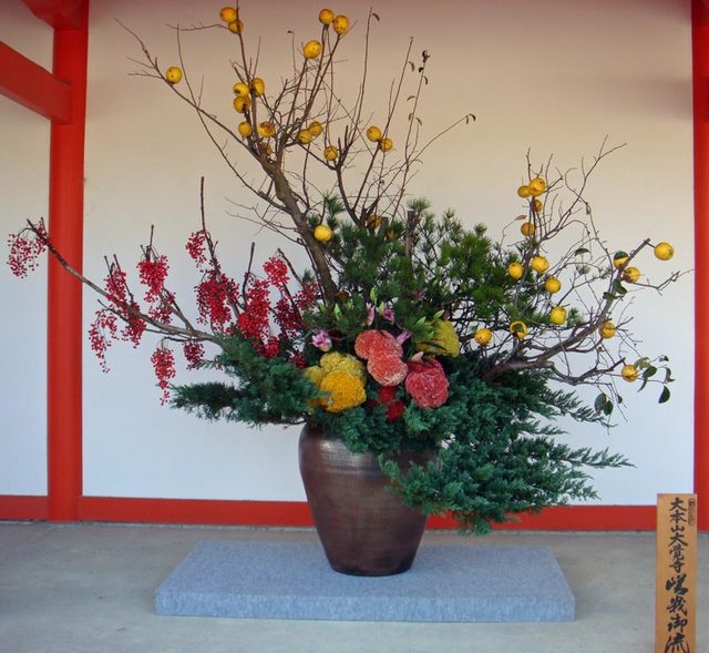 101117_sagagoryu 101117_sagagoryu