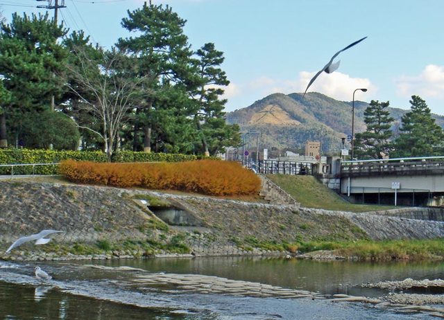 101216daimonji 101216daimonji