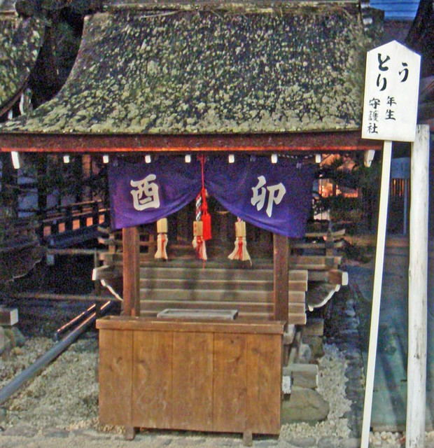 110103usagisya 110103usagisya