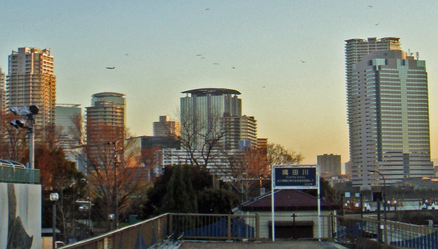 110108sumida1 110108sumida1