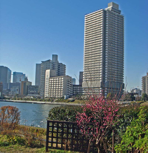 110109ume_2 110109ume_2