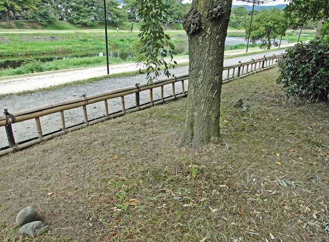110808_funsui1 110808_funsui1