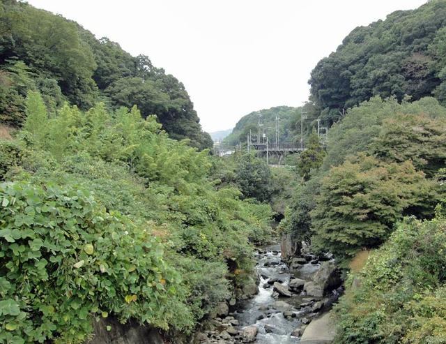 111103_heguri1 111103_heguri1