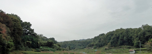 111103_heguri2 111103_heguri2
