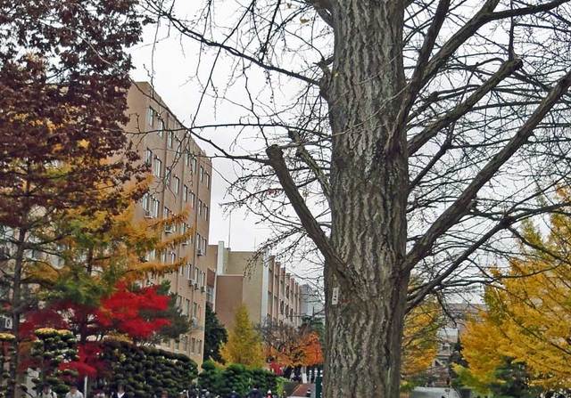 111122_yamgatauniv 111122_yamgatauniv