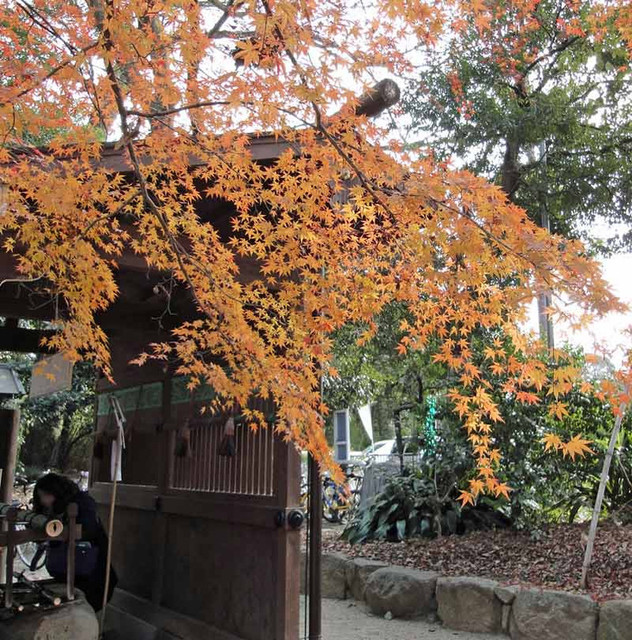 120101_tyouzu 120101_tyouzu