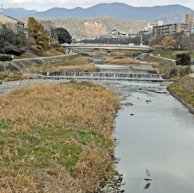 120103_takano 120103_takano