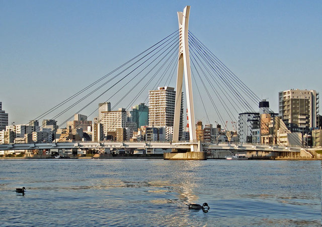 120109_kamo1 120109_kamo1