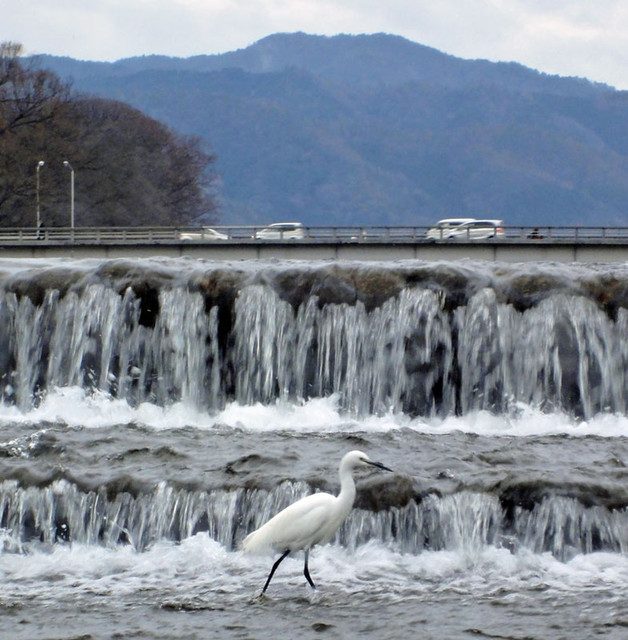 120120_sagi 120120_sagi