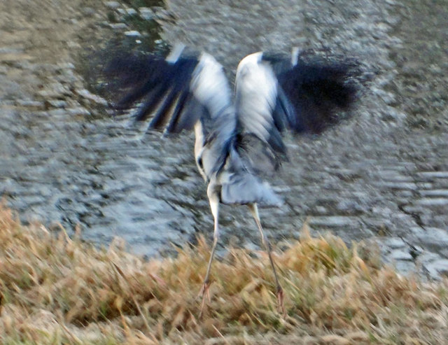 120121_sagitobu 120121_sagitobu
