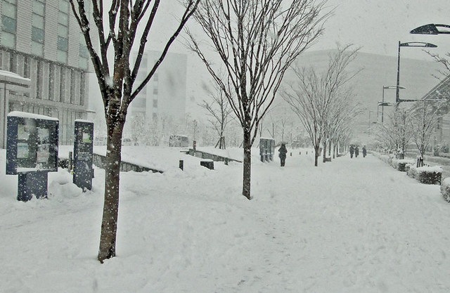 120229_nijl 120229_nijl