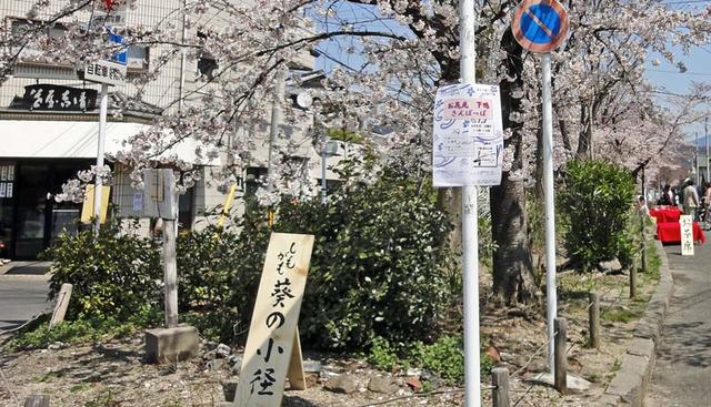 120408_hanami1 120408_hanami1