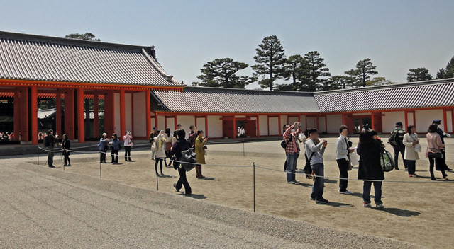 120408_hanami7 120408_hanami7