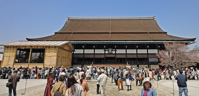 120408_hanami8 120408_hanami8