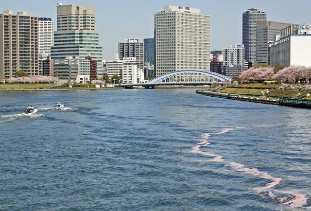 120412_kawamo1 120412_kawamo1