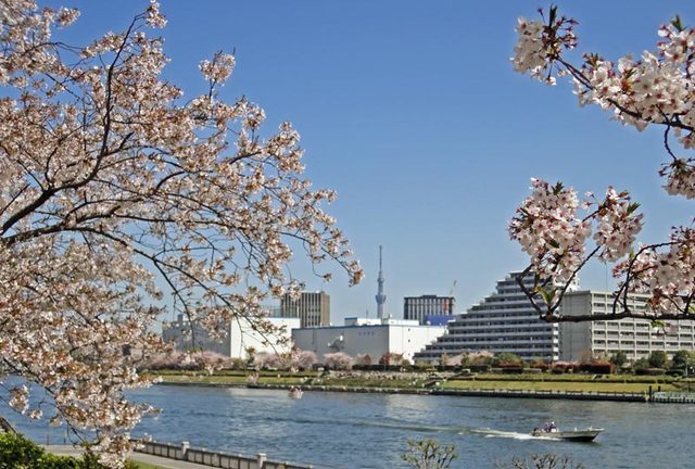 120412_skytree 120412_skytree