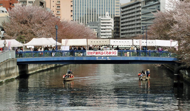 120415_sakuramaturi 120415_sakuramaturi