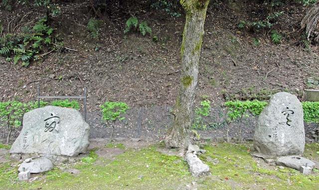 120430_boseki 120430_boseki