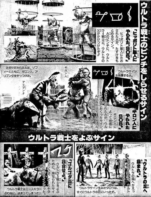 120507_urutora3 120507_urutora3