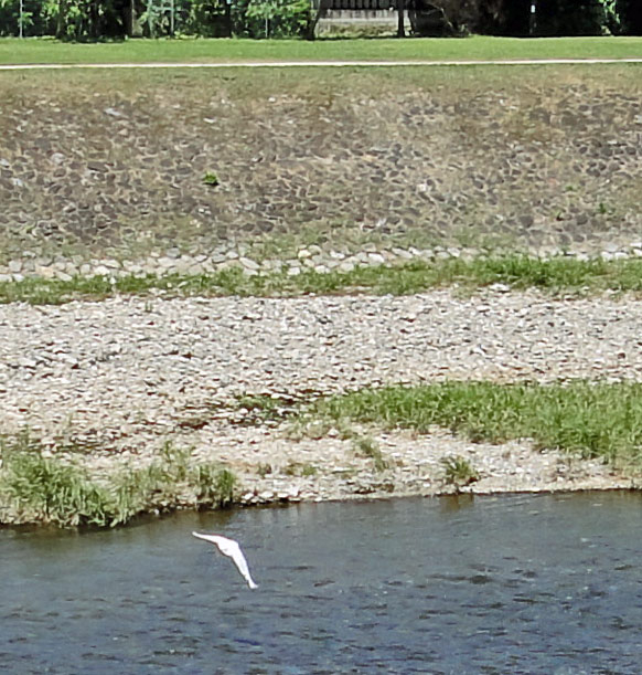 120731_sagi2 120731_sagi2