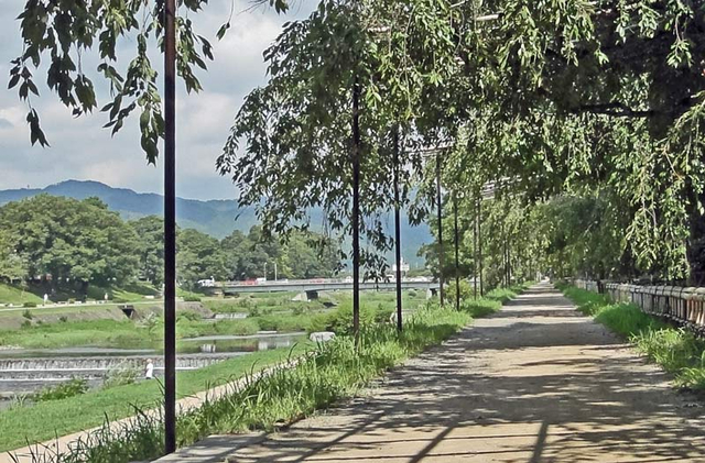 120826_kamogawa1 120826_kamogawa1